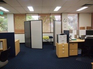 Ultimate Portable Privacy Screen Divider for On-site Clinic Use